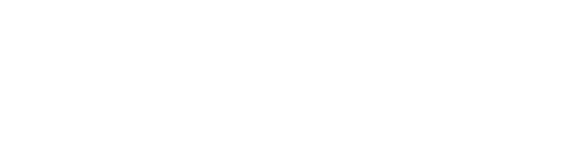 SDI long format - white