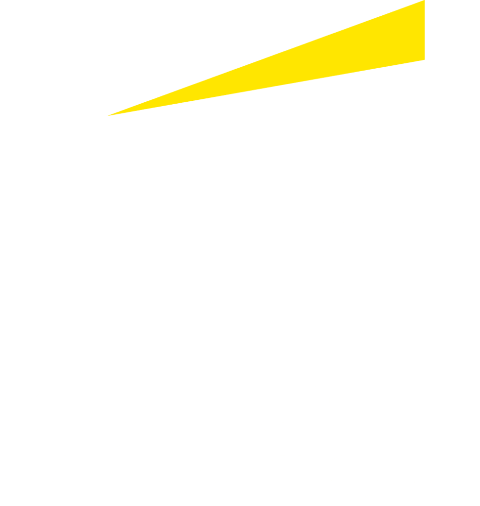 EY white logo