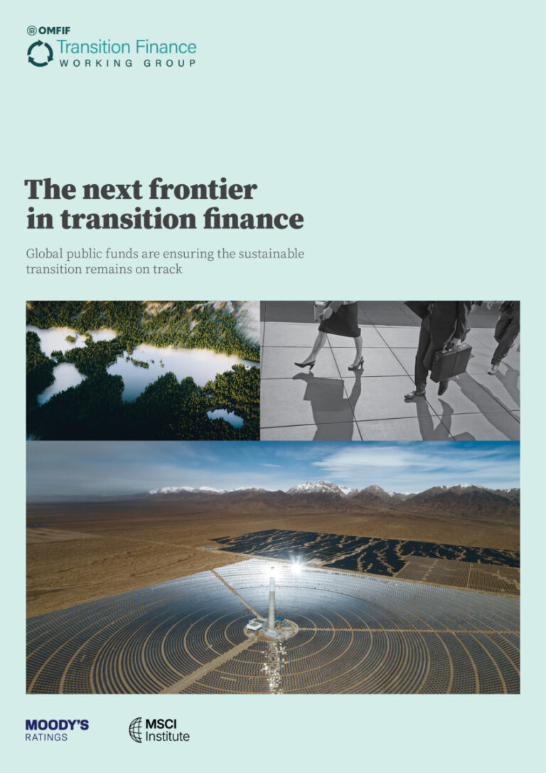 The next frontier in transition finance
