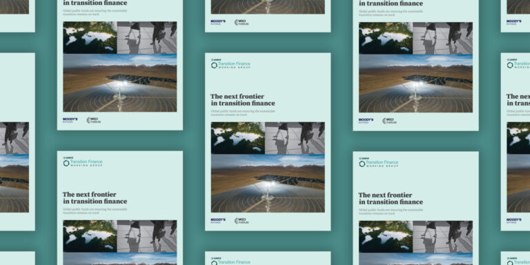 Transition Finance Working Group report launch